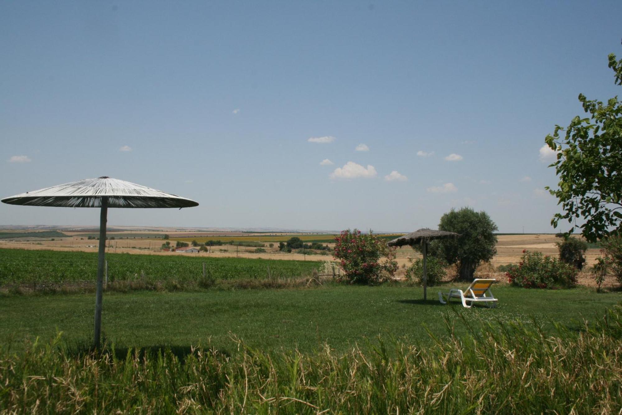 Monte Da Morena Agro-Turismo Serpa Buitenkant foto