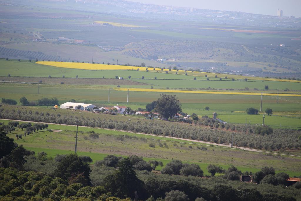 Monte Da Morena Agro-Turismo Serpa Buitenkant foto