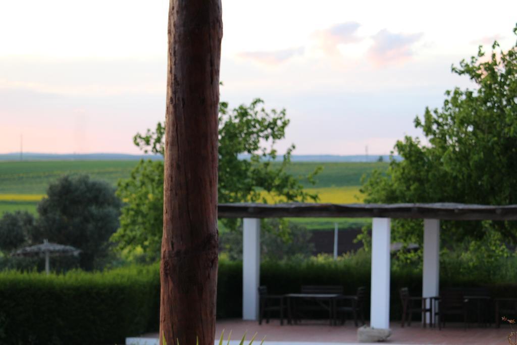 Monte Da Morena Agro-Turismo Serpa Buitenkant foto