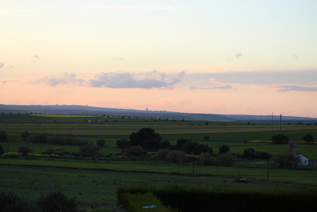 Monte Da Morena Agro-Turismo Serpa Buitenkant foto